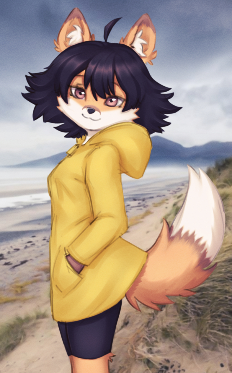 anthro canid canine clothing coastline coat elronya fan_character female fox hi_res mammal maple outside raincoat seashore solo topwear