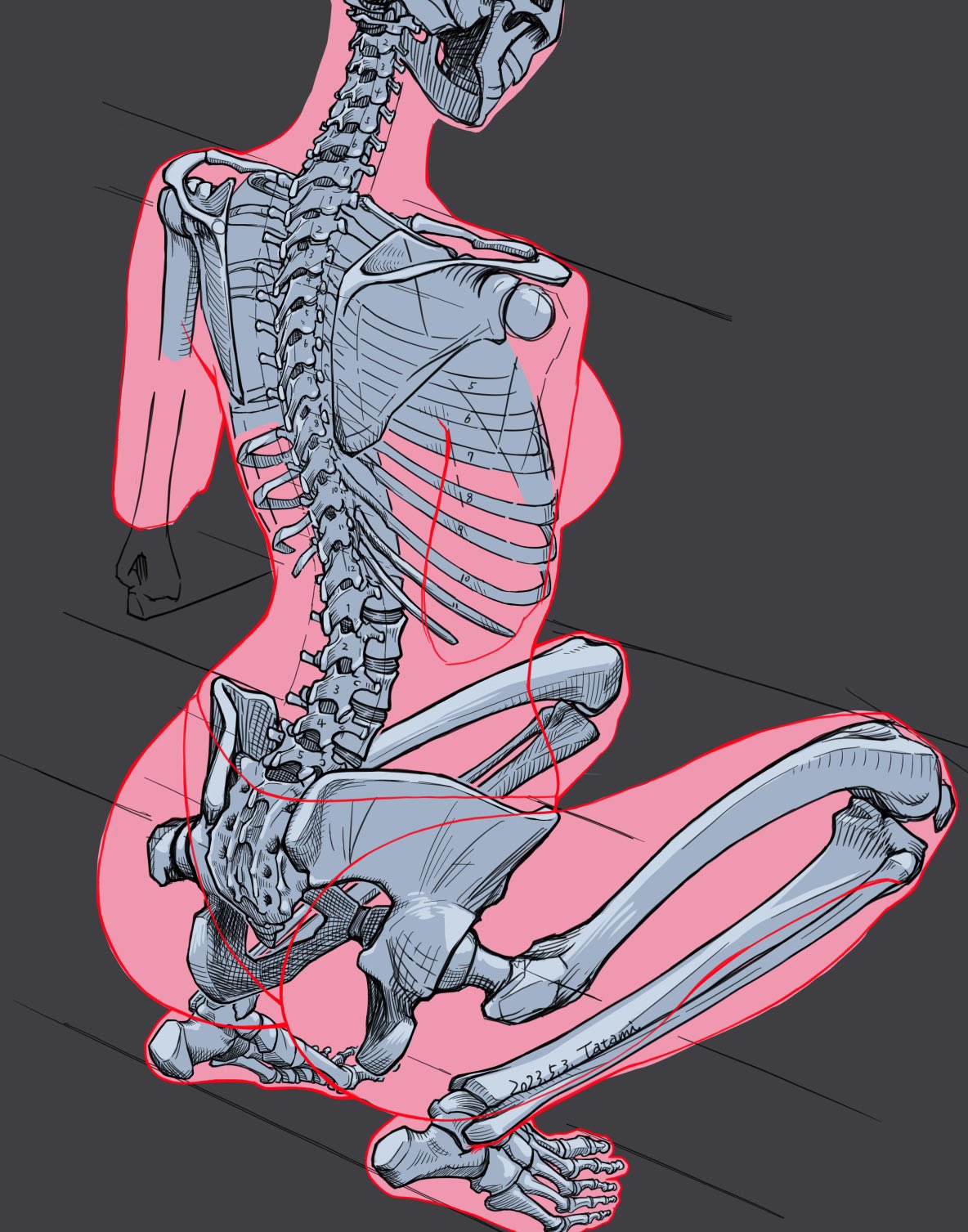 1girl anatomy artist_name bald bald_girl dark_background dated english_commentary facing_away from_behind full_body grey_background highres mixed-language_commentary original ribs simple_background skeleton solo tatami_(loop) teeth x-ray_vision