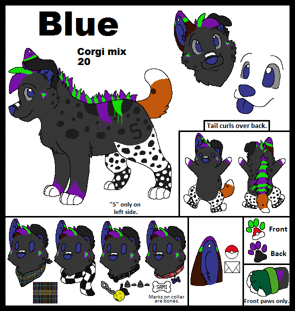 2012 aliasing ambiguous_gender black_body black_collar black_fur black_text blue_(bluekyokitty) blue_eyes blue_inner_ear_fluff blue_nose blue_tongue bluekyokitty brown_body brown_fur canid canine canis character_name checkered_clothing checkered_scarf clothing collar digital_drawing_(artwork) digital_media_(artwork) digitigrade domestic_dog english_text eyebrows feral fingerless_gloves flat_colors fur gloves green_body green_fur grey_body grey_fur grey_sclera handwear herding_dog inner_ear_fluff mammal model_sheet neckerchief nintendo one_ear_up pastoral_dog pattern_clothing pattern_kerchief pattern_neckerchief pattern_scarf paws plaid_kerchief plaid_neckerchief pokeball pokemon purple_body purple_fur raised_tail red_collar scarf sebdoggo simple_background smile solo standing stated_adult stated_age tail text tongue tongue_out tuft welsh_corgi white_background white_body white_fur