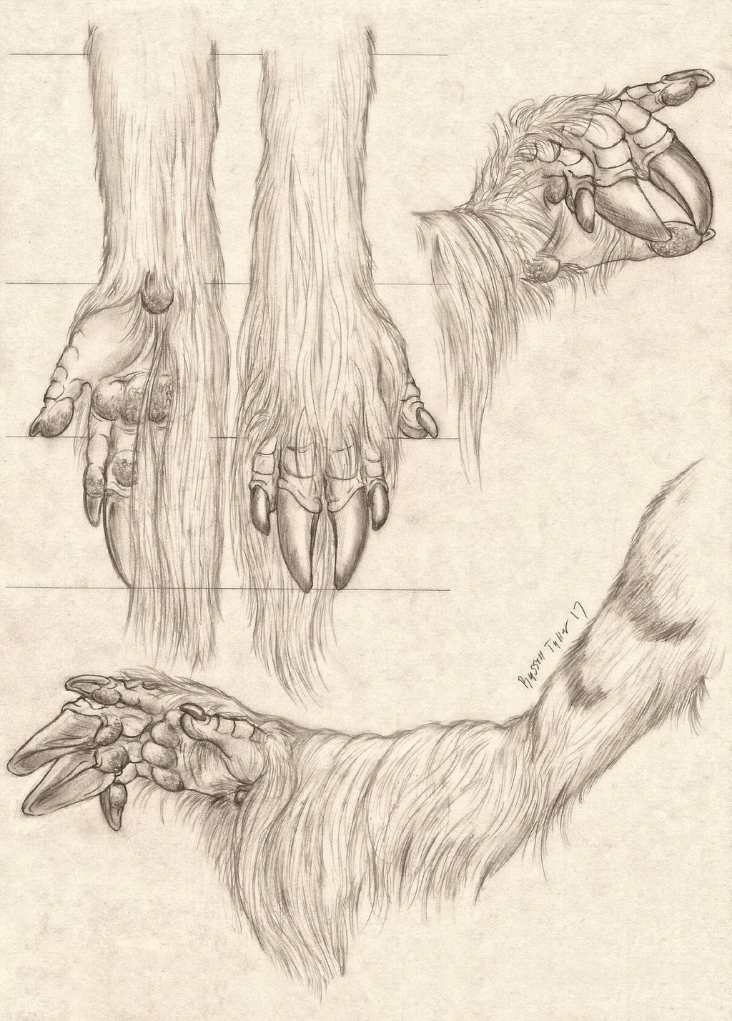 5_fingers anatomy anthro claws cloven_hooves diagram dragon equid equine fingers graphite_(artwork) hi_res high-angle_view hooved_fingers hooves horn mammal model_sheet multiple_poses paws pose russell_tuller side_view sketch traditional_media_(artwork) unicorn view_from_below