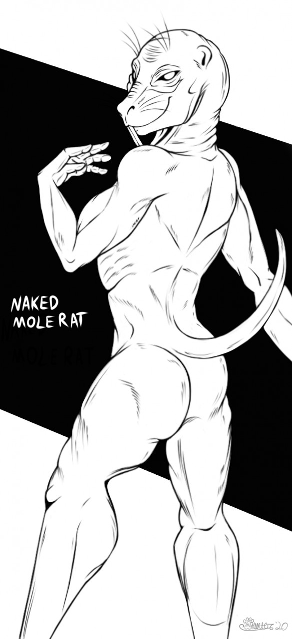 2020 anthro buckteeth butt hi_res looking_at_viewer looking_back male mammal marcushunter naked_mole-rat nude raised_tail rear_view rodent signature smile smiling_at_viewer solo standing tail teeth text whiskers