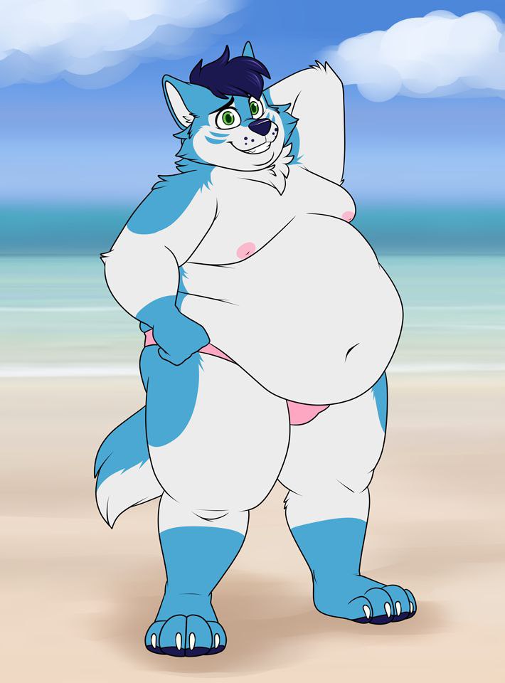 anthro beach blue_hair canid canine canis clothing domestic_dog green_eyes hair hand_behind_head husky hybrid male mammal moobs navel nordic_sled_dog overweight overweight_anthro overweight_male pose posing_for_picture sand seaside shikakaka solo speedo spitz swimwear wintie wolf