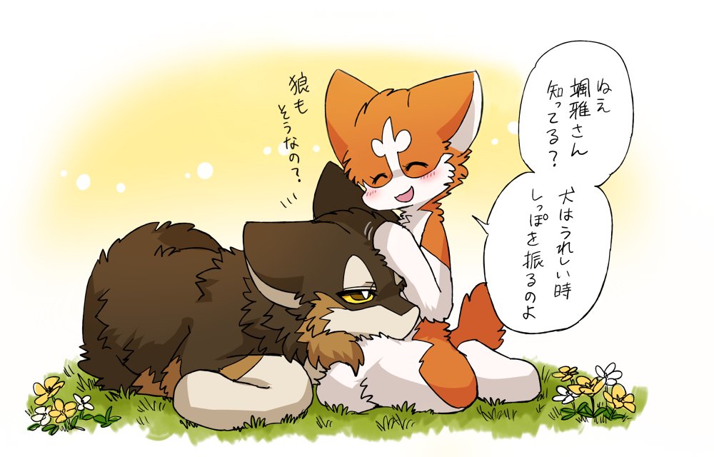 ambiguous_gender ayaka blush brown_body brown_fur canid canine canis domestic_dog duo female_(lore) feral fur happy head_on_lap husky japanese_text kemono male_(lore) mammal nordic_sled_dog on_lap orange_body orange_fur outside petting_head romantic romantic_couple semi-anthro smile souga spitz tan_body tan_fur text translation_check translation_request white_body white_fur wolf