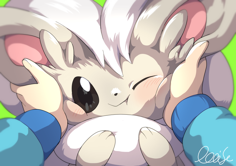 1boy cinccino commentary_request fluffy green_background hilbert_(pokemon) looking_at_viewer one_eye_closed oooise pokemon pokemon_(creature) pokemon_(game) pokemon_bw pov pov_hands signature smile white_fur