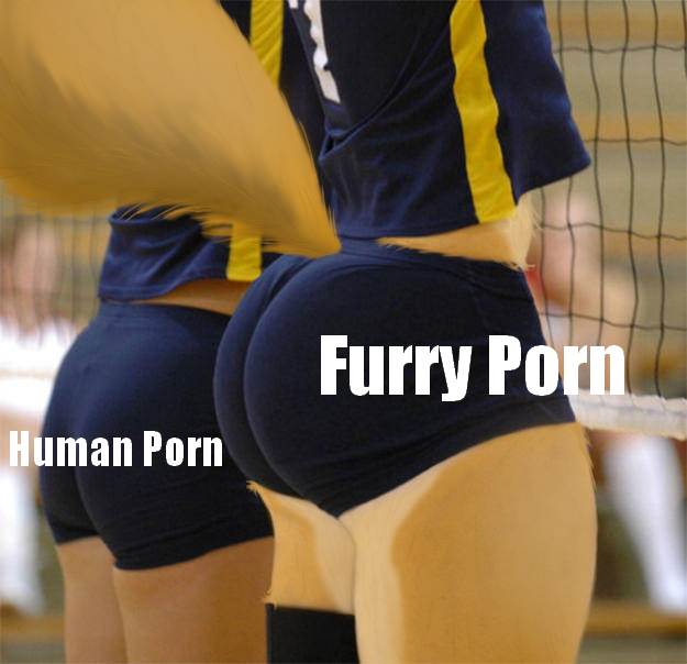 4chan anthro butt canid canine clothed clothing comparing_butts compression_shorts duo female fox fur human humanoid leg_warmers legwear mammal meme multicolored_body multicolored_fur photo_manipulation photomorph photoshop raised_clothing raised_shirt raised_tail raised_topwear shirt size_difference sport tail thick_thighs topwear two_tone_body two_tone_fur unknown_artist volleyball volleyball_uniform wide_hips