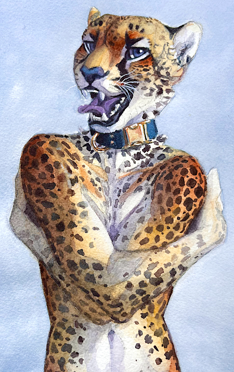 anthro blue_eyes cheetah collar felid feline hi_res luikatje male mammal painting_(artwork) self_hug solo tongue tongue_out traditional_media_(artwork) watercolor_(artwork)