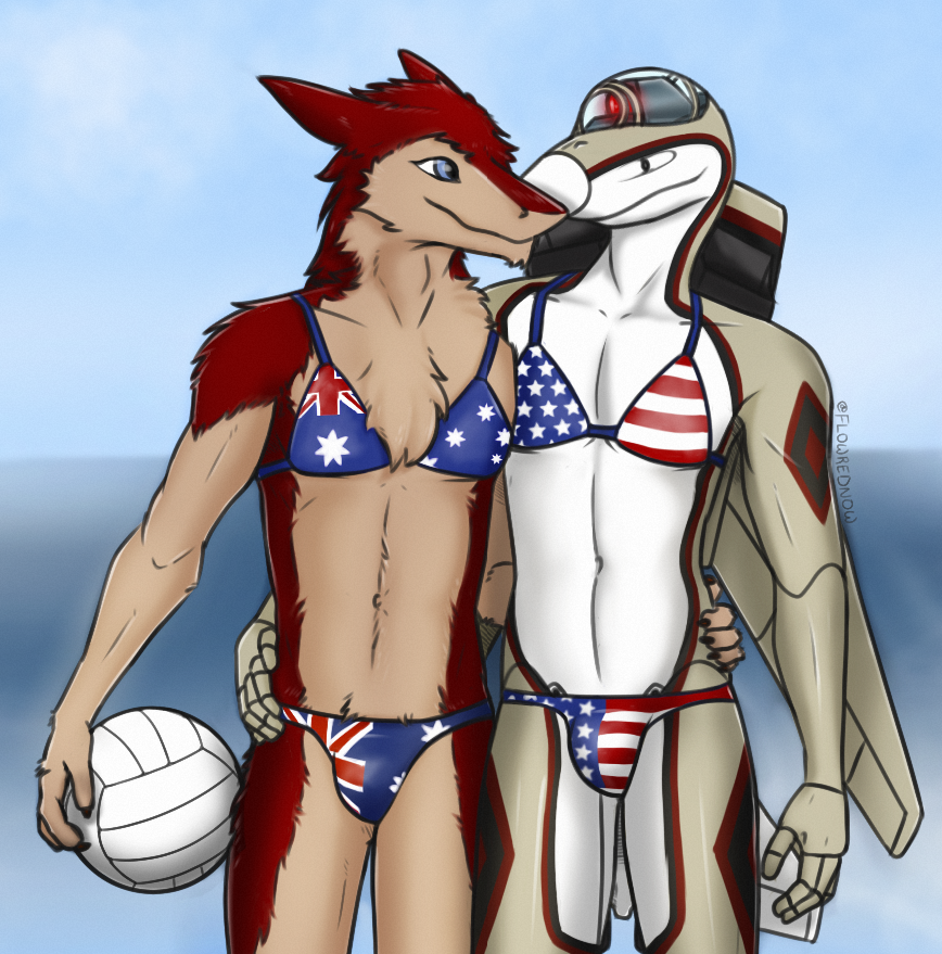 aircraft airplane anthro australian_flag ball bikini bulge clothed clothing digital_media_(artwork) duo living_aircraft living_machine living_vehicle machine male male/male mammal russy_(artist) sergal simple_background swimwear us_flag vehicle volleyball_(ball) wings