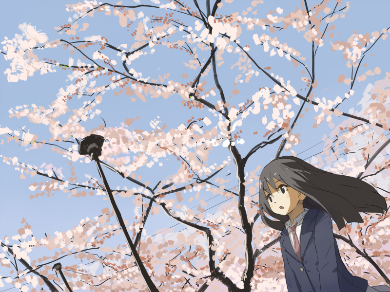 :o brown_hair cherry_blossoms copyright_request jitsu_hidari long_hair school_uniform solo