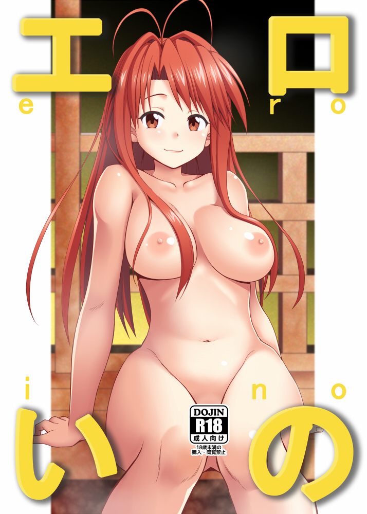 1girl antenna_hair areolae breasts brown_eyes brown_hair collarbone commentary_request convenient_censoring cover cover_page doujin_cover hair_intakes large_breasts long_hair looking_at_viewer love_hina narusegawa_naru nase navel nipples nude sitting smirk solo