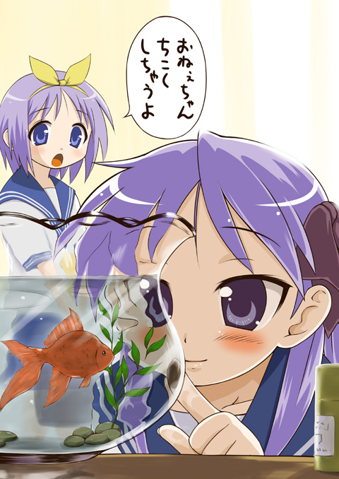 animal blush curious fish fishbowl goldfish hair_ribbon hiiragi_kagami hiiragi_tsukasa long_hair lucky_star multiple_girls okara purple_hair ribbon ryouou_school_uniform school_uniform serafuku short_hair translated twintails