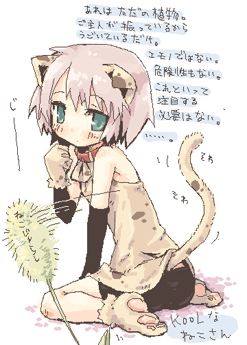 7010 animal_ears collar copyright_request elbow_gloves gloves oekaki paws pink_hair short_hair solo tail