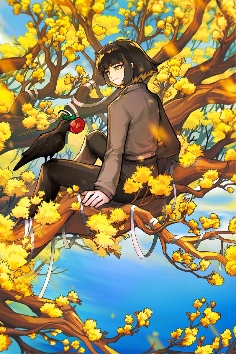 1girl animal bandages belt bird bird_on_knee black_feathers black_hair black_pants blue_sky bob_cut branch brown_jacket camellia crow dongbaek_(project_moon) feathers flaw_eight flower highres in_tree jacket leaf limbus_company pants project_moon red_flower sitting sitting_in_tree sky solo sunlight tree yellow_eyes yellow_flower