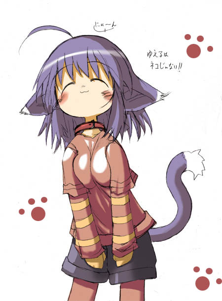 :3 ahoge animal_ears artist_request blush cat_ears cat_tail collar legwear_under_shorts long_sleeves pantyhose pantyhose_under_shorts paw_print purple_hair shorts solo summon_night summon_night_2 tail yuel