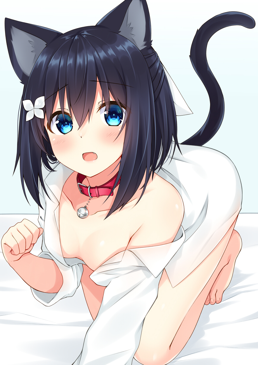 1girl all_fours animal_ear_fluff animal_ears bangs bare_legs bare_shoulders barefoot bell bell_collar black_hair blue_eyes blush cat_ears cat_girl cat_tail collar collarbone commentary_request dress_shirt eyebrows_visible_through_hair fang hair_between_eyes highres jingle_bell kemonomimi_mode komori_kuzuyu looking_at_viewer naked_shirt off_shoulder open_mouth original paw_pose red_collar rivier_(kuzuyu) shirt solo tail tail_raised toenails white_shirt