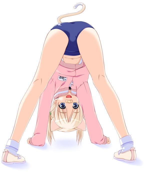 :d animal_ears bandaid bandaid_on_nose bent_over blonde_hair blue_eyes buruma cat_ears cat_tail copyright_request gym_uniform jacket long_sleeves looking_back ooji open_mouth short_hair smile solo tail top-down_bottom-up track_jacket twintails
