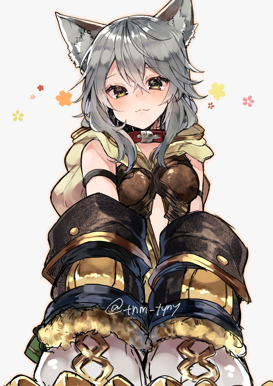1girl :3 animal_ear_fluff animal_ears armband bangs belt_collar blush cat_ears claw_(weapon) claws collar commentary_request detached_sleeves erune granblue_fantasy grey_hair hair_between_eyes head_tilt highres hood hood_down ikeuchi_tanuma long_sleeves looking_at_viewer red_collar sen_(granblue_fantasy) short_hair_with_long_locks simple_background smile solo twitter_username upper_body weapon white_background wide_sleeves yellow_eyes