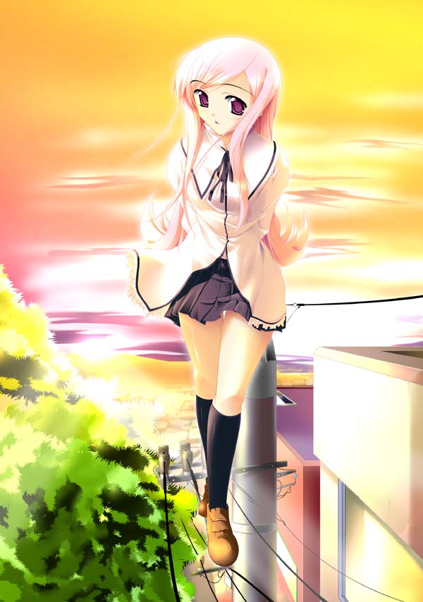aoi_mikan arms_behind_back head_tilt kneehighs loafers long_hair long_sleeves looking_at_viewer lucy_maria_misora on_top_of_pole outdoors pink_hair pleated_skirt power_lines purple_eyes shoes skirt solo sunset telephone_pole thigh_gap to_heart_2 transformer tree