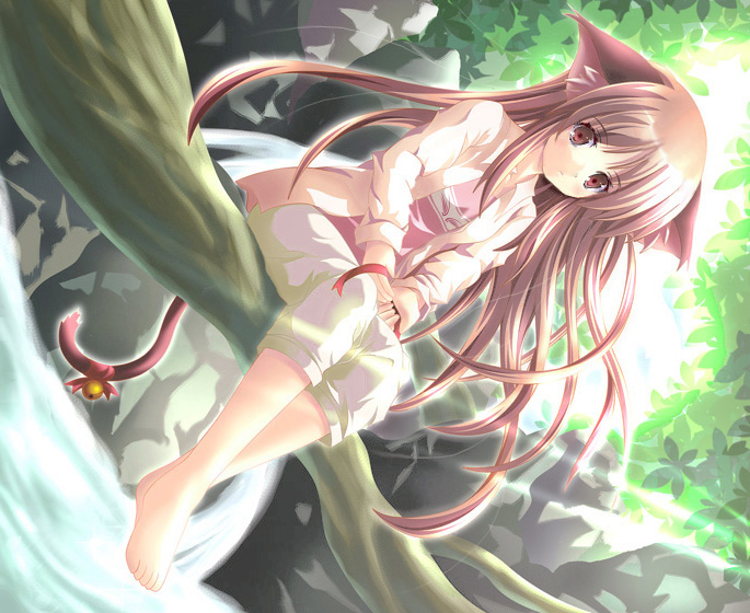 animal_ears barefoot bell brown_eyes brown_hair cat_ears dutch_angle feet in_tree jingle_bell leaf long_hair long_sleeves nature original ribbon river sitting sitting_in_tree solo tail tail_bell tree v_arms water yamamoto_nori