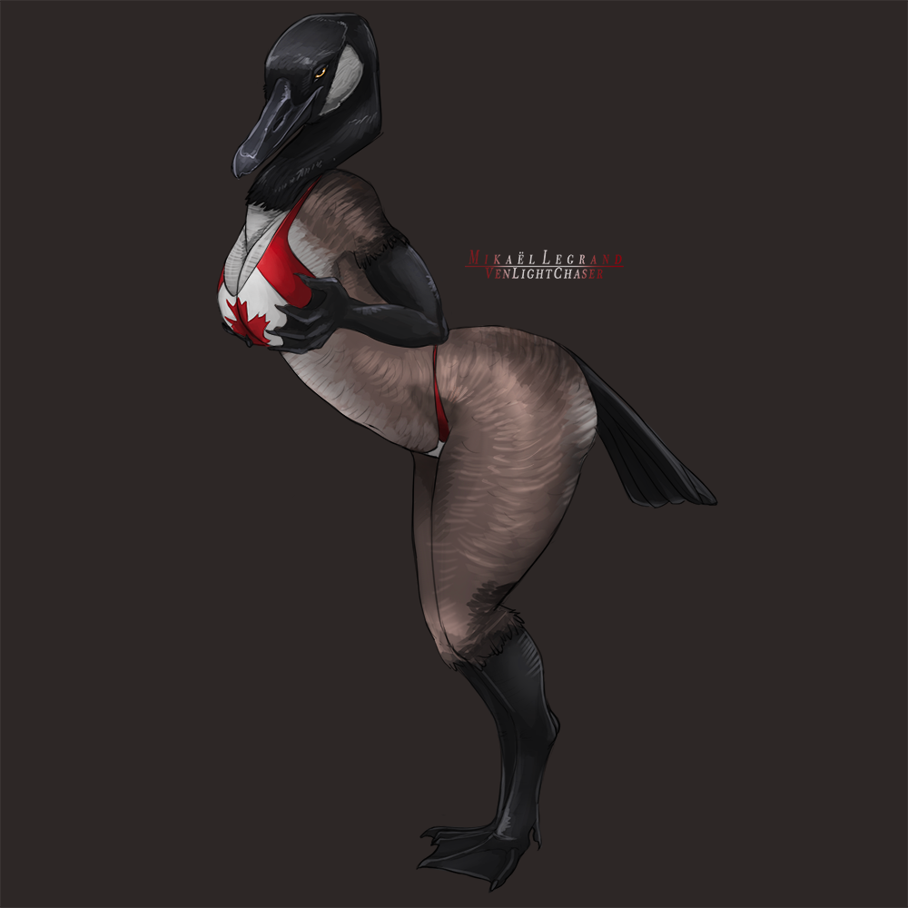 2019 annoyed anthro avian beak bent_over big_breasts bikini biped bird breasts brown_feathers brown_wings butt canada_goose cleavage clothed clothing digital_drawing_(artwork) digital_media_(artwork) feathers female flag_bikini goose looking_at_viewer non-mammal_breasts panties seductive side_view skimpy solo suggestive swimsuit tail_feathers teasing thick_thighs underwear venlightchaser white_feathers wings