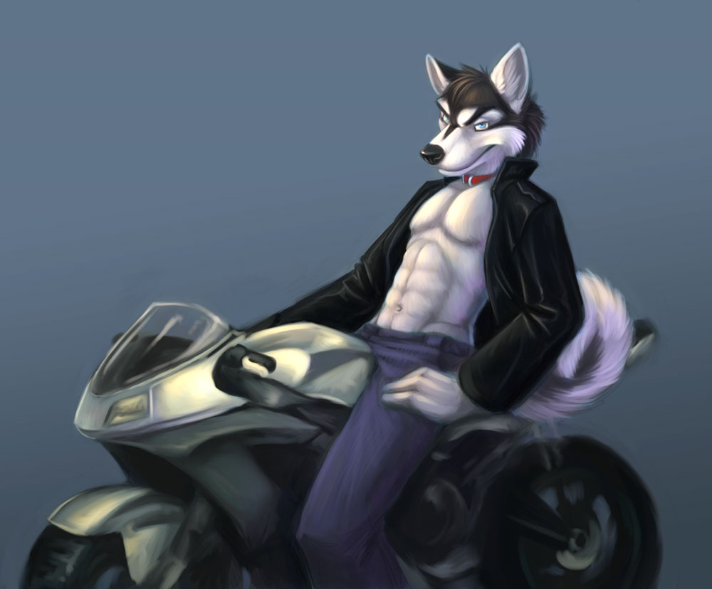 abs biker blank_background blue_eyes canine chibi-marrow clothed collar colored dog husky looking_at_viewer male motorcycle pose solo tail vehicle