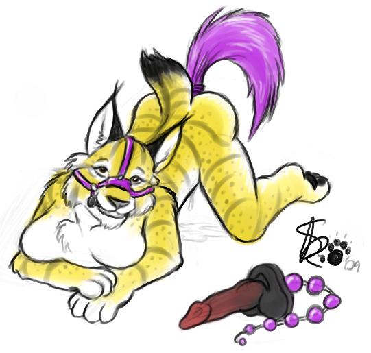bit_gag bobcat buttplug_tail feline female looking_at_viewer lynx serval sex_toy sketchkat sketchkat_(artist) solo tail toys