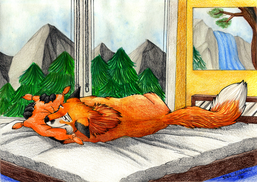 bed blackdiaraikia canine feral fox pillow window