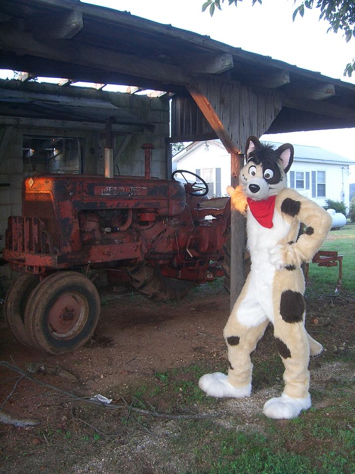 brown_eyes canine cute dog farm frisbee_(character) fursuit looking_at_viewer male mammal photo real solo tractor unknown_artist
