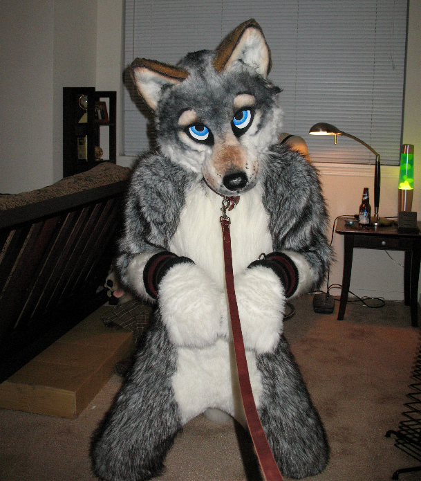 bondage bound canine collar fursuit mammal pose real unknown_artist wolf