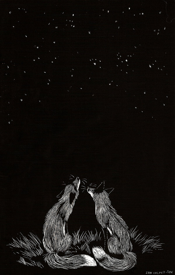 black_and_white canine culpeofox feral fox greyscale mammal monochrome stars tail