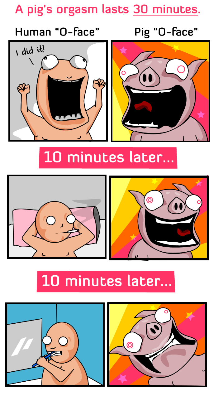 bed cigarette comic english_text human male mammal mirror nude o-face o_face open_mouth orgasm pig pillow porcine smoke smoking teeth text the_oatmeal tongue toothbrush what