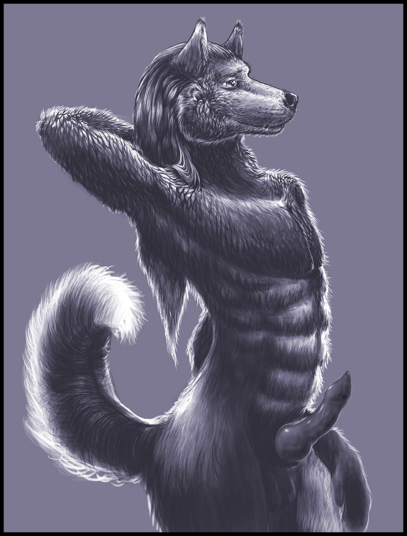 artonis canine knot male nude penis solo tail