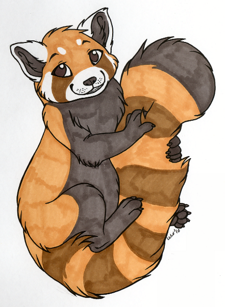 female feral hugging_tail mammal non-anthro red_panda solo tail wingedwolf
