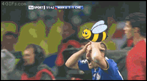 animated bee feral gif invisible_swarm_of_bees photoshop real soccer video