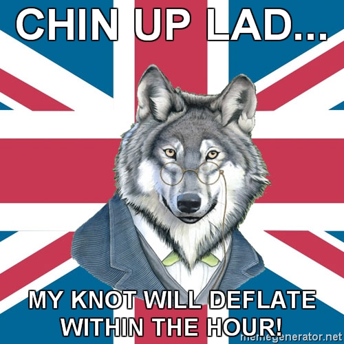 advice_dog animal anthro british canine caption chin_up english_text fancy flag glasses looking_at_viewer meme photoshop solo suit union_flag united_kingdom unknown_artist wolf yellow_eyes
