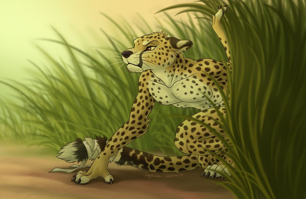 bandage cheetah claws feline grass hyhlion male mammal nude outside paws solo tail whiskers