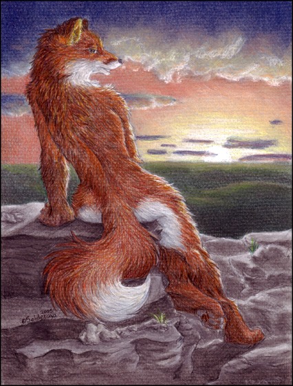2005 back canine canvas female fox glance high_place nude outcrop rock selderaya sitting solo