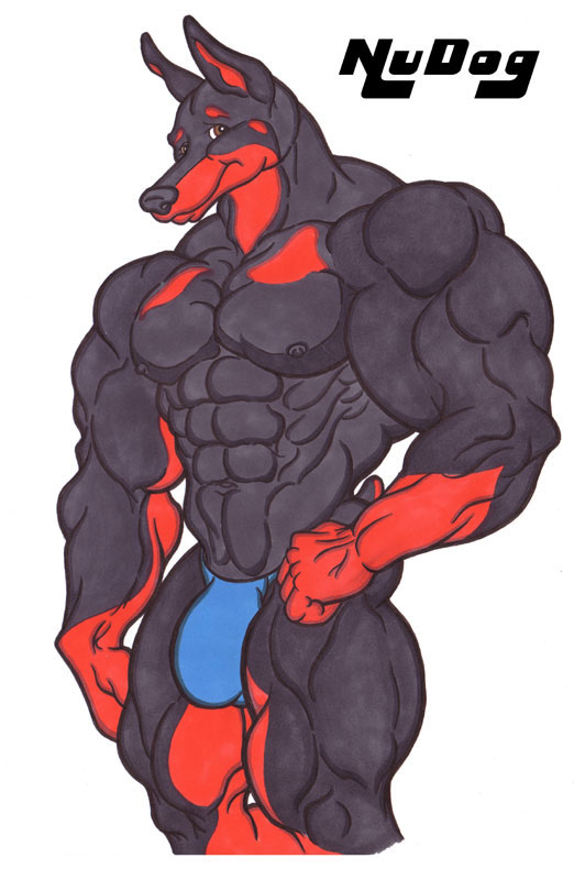anthro balls biceps big_penis black black_fur brown_eyes bulge canine clothed clothing doberman dog flexing fur half-dressed huge_muscles hyper male mammal muscles nipples nudog pecs penis plain_background pose red_fur ripped solo speedo standing swimsuit topless underwear white_background