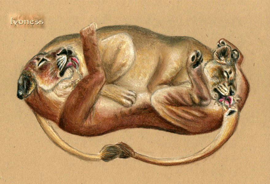 69 cunnilingus eyes_closed feline female feral lesbian licking lion on_back oral oral_sex pussy_juice sex spera tongue