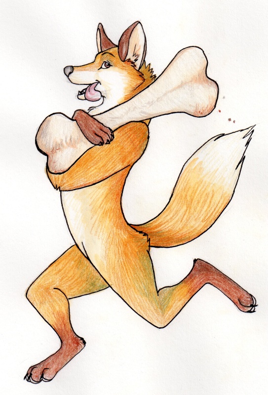 2010 alaitallon ambiguous_gender bone canine fox nude running solo