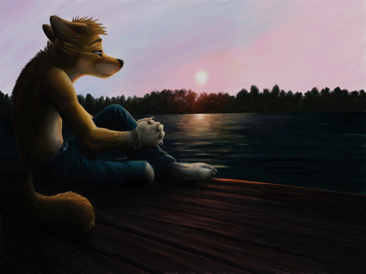 2010 canine fluke fox lake male sad sitting solo sun sunset