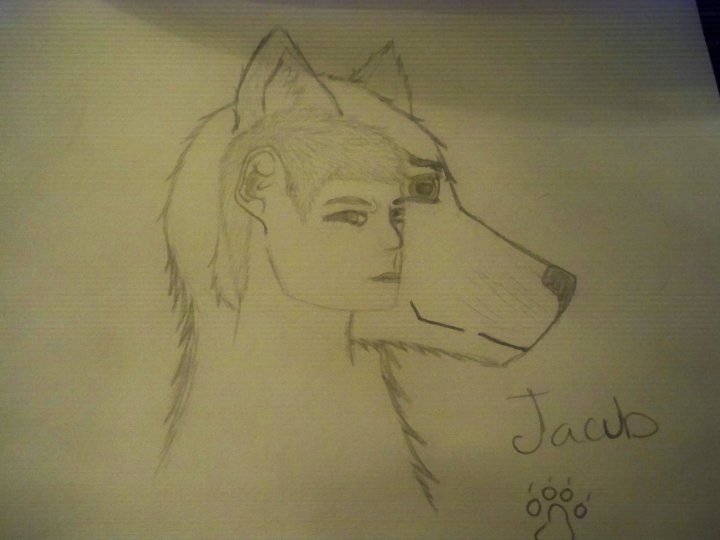 canine human jacub kougamax paws twilight wolf