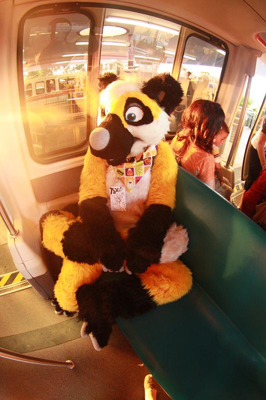 cute fursuit lemur looking_at_viewer male monorail real taxi unknown_artist