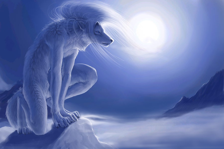 aryte blue_eyes canine crouching digitigrade hair hibbary male moon night outside snow solo white white_hair winter wolf