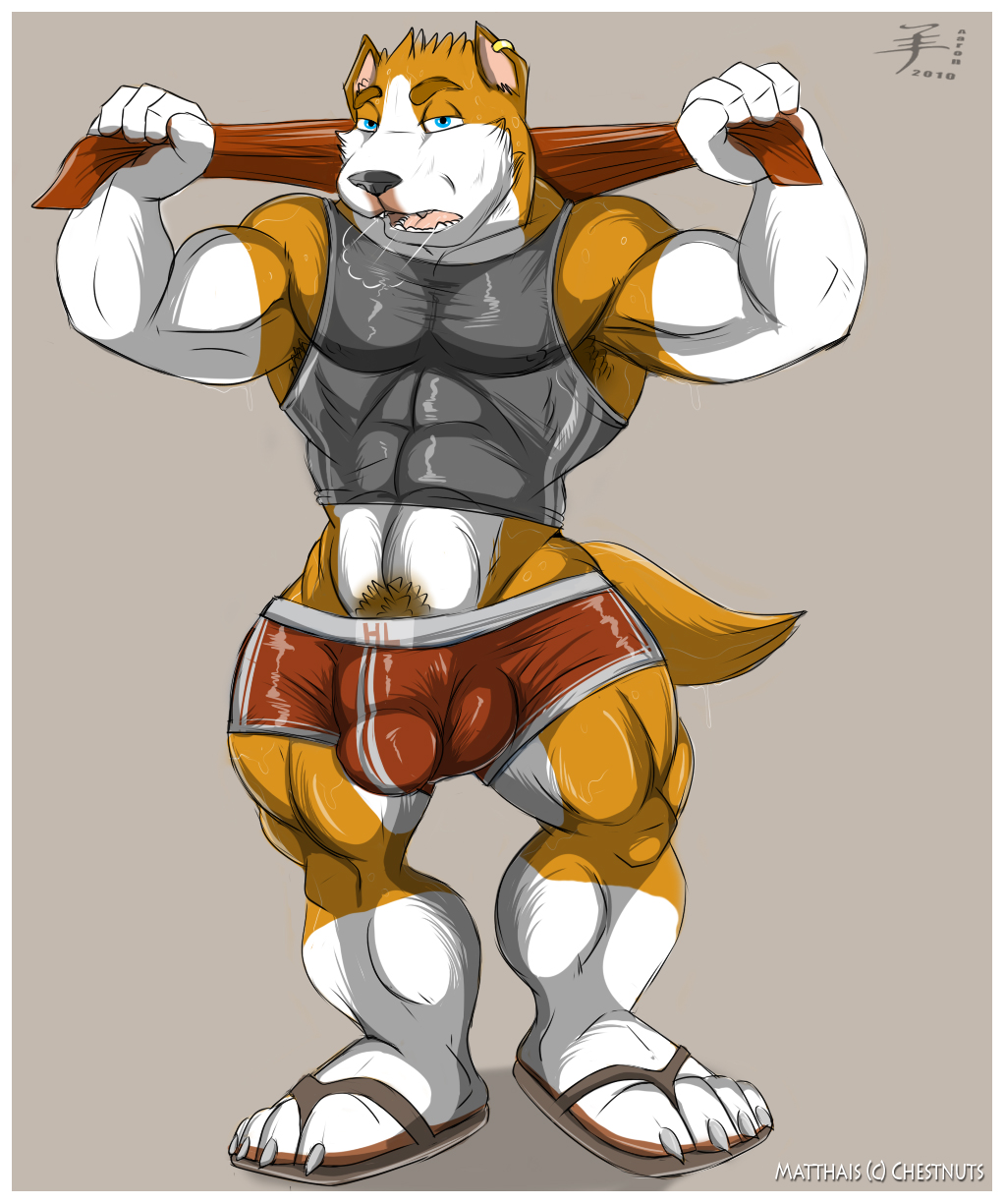 aaron anthro canine dog male mammal muscles pitbull pose solo