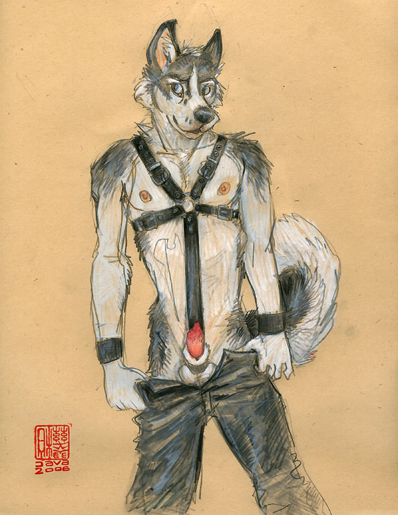 allison_reed bdsm bondage canine canine_penis dog harness husky java leather male mudshark sheath solo