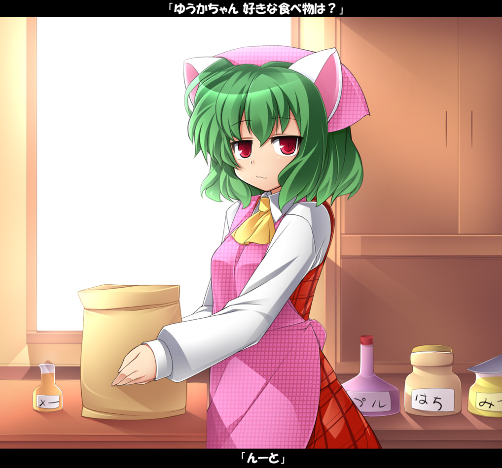 :3 animal_ears apron ascot cat_ears cooking flower green_hair katami_shinta kazami_yuuka kemonomimi_mode looking_at_viewer plaid plaid_skirt plaid_vest red_eyes short_hair skirt skirt_set slit_pupils solo touhou translated unmoving_pattern vest