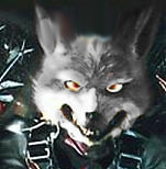 canine grey looking_at_viewer nintendo_power portrait solo star_fox video_games werwolf-witcher wolf wolf_o'donnell