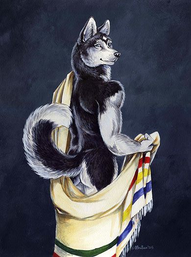 2005 blanket blue_eyes canine dog ear_tufts heather_bruton hudson_bay husky looking_at_viewer male muscles nude raised_tail smile solo tail