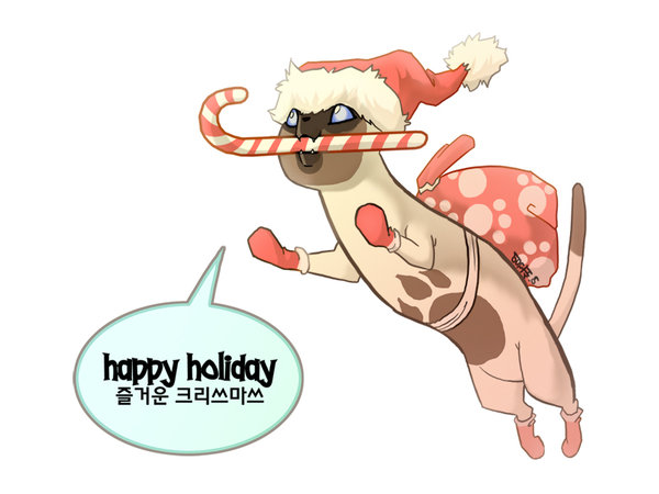 blue_eyes candy_cane cat christmas cute feline hat holidays jumping korean_text leaping mammal markings plain_background socks solo text translated unknown_artist white_background xmas