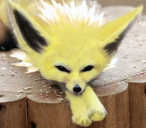 aliceindistortion canine fennec fox jolteon looking_at_viewer paws photomorph pok&eacute;mon solo tree_stump